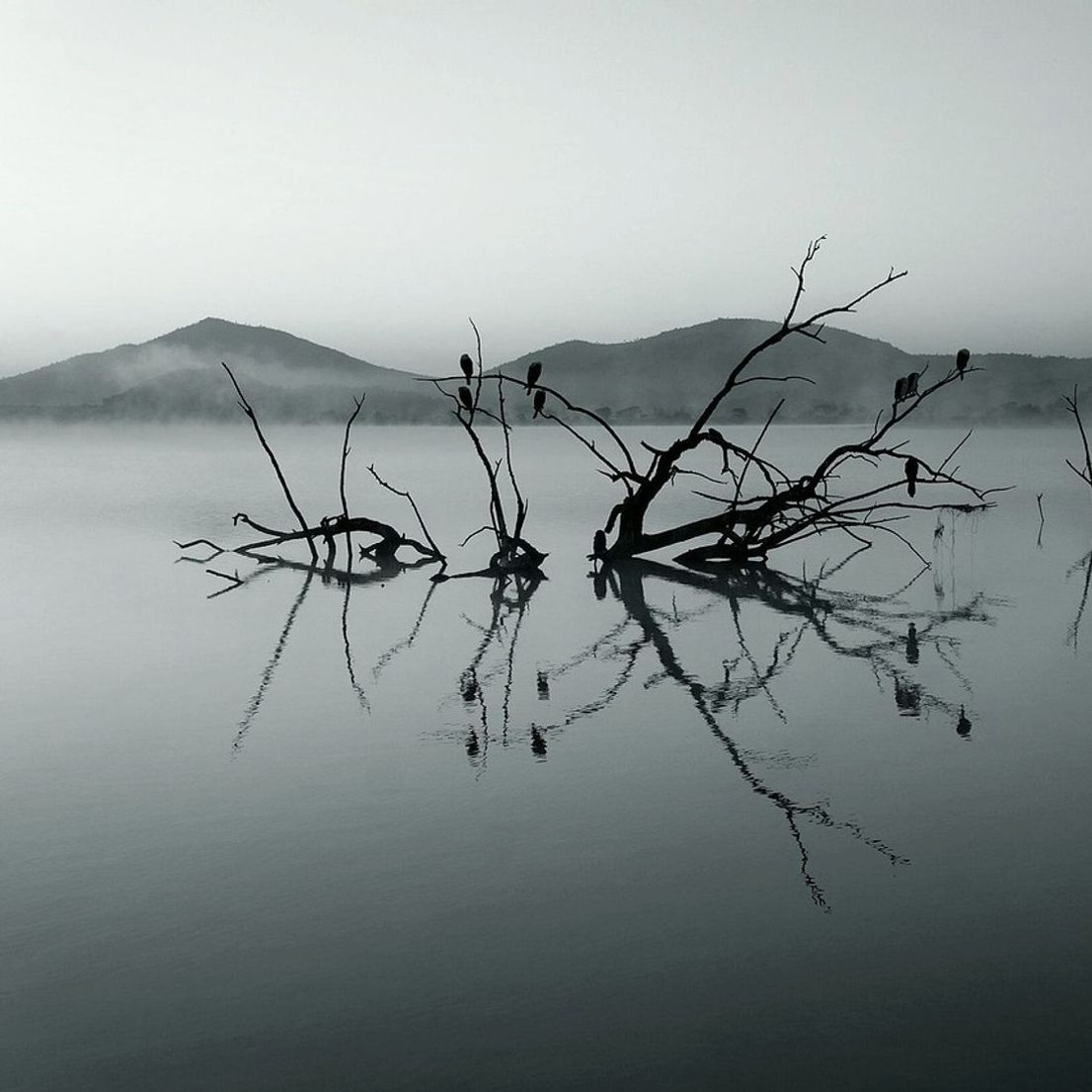 Amanecer en el lago de montaña
